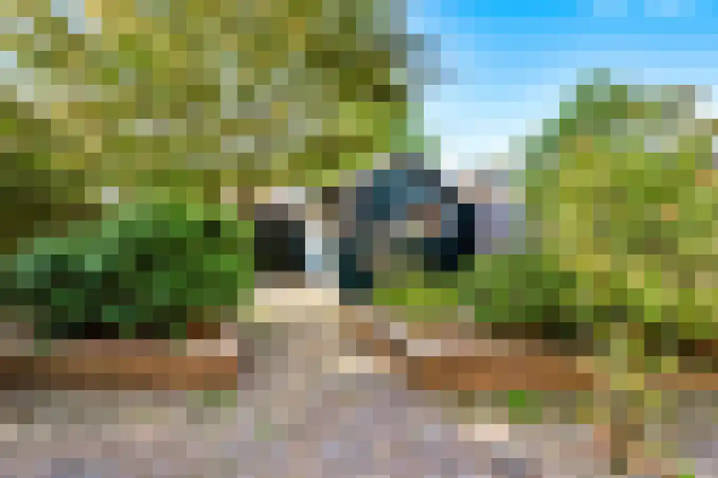 Klingelbeek 20 Ugchelen thumbnail 20