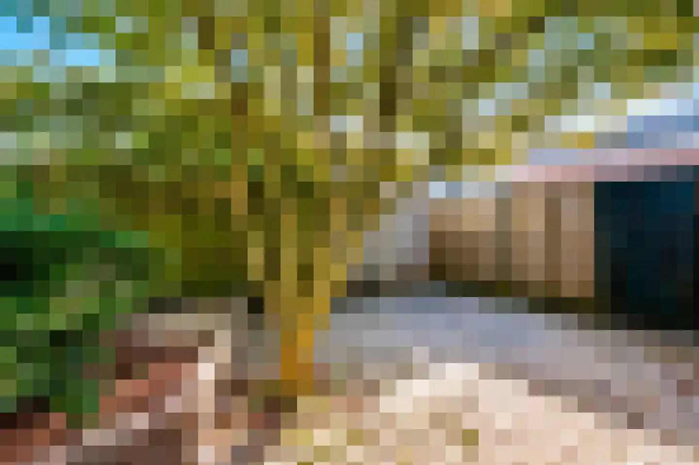 Klingelbeek 20 Ugchelen thumbnail 22