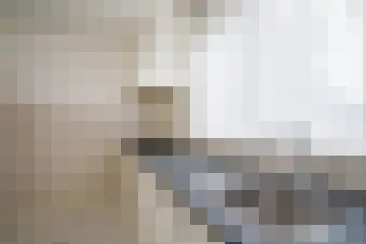 Klingelbeek 32 Eindhoven thumbnail 11