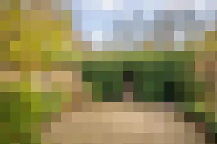 Klingelbeek 32 Eindhoven thumbnail 22