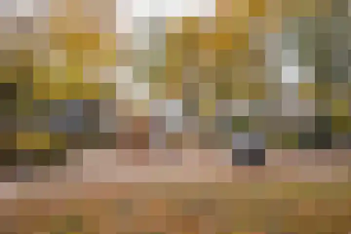 Klingelbeek 32 Eindhoven thumbnail 27