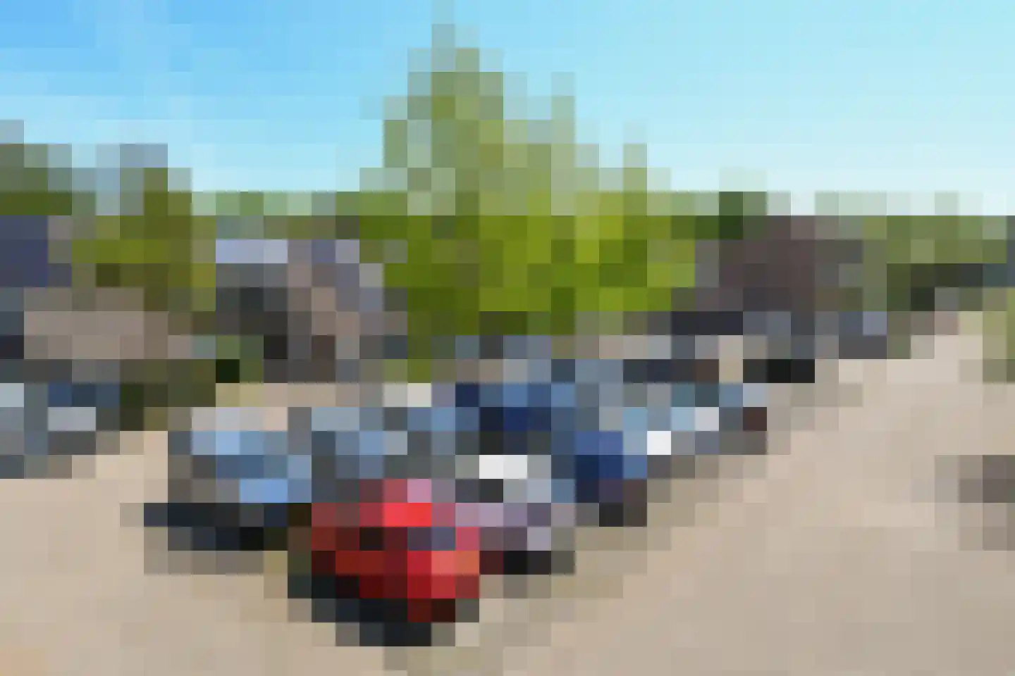 Klingelbeek 36 Eindhoven thumbnail 26