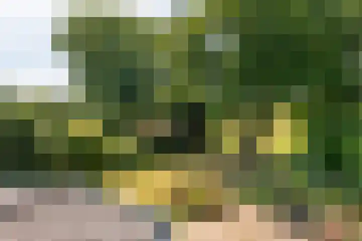 Klingelbeekseweg 26 A Oosterbeek thumbnail 30