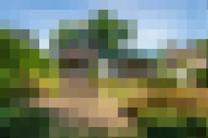 Klingelbeekseweg 26 A Oosterbeek thumbnail 41