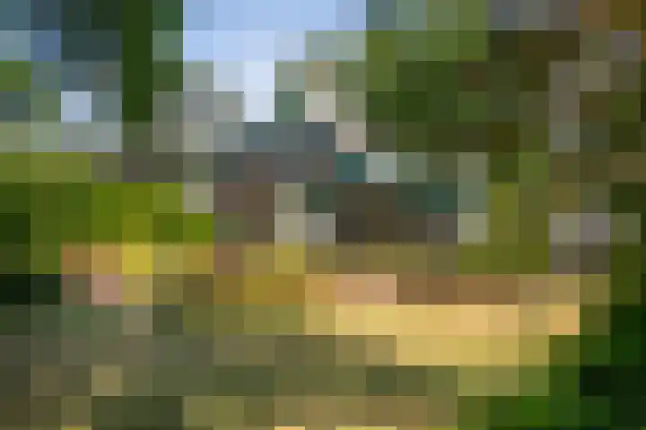 Klingelbeekseweg 26 A Oosterbeek thumbnail 43