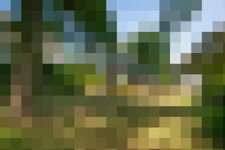 Klingelbeekseweg 26 A Oosterbeek thumbnail 44