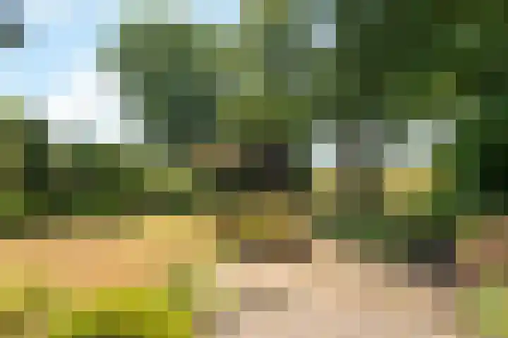 Klingelbeekseweg 26 A Oosterbeek thumbnail 45
