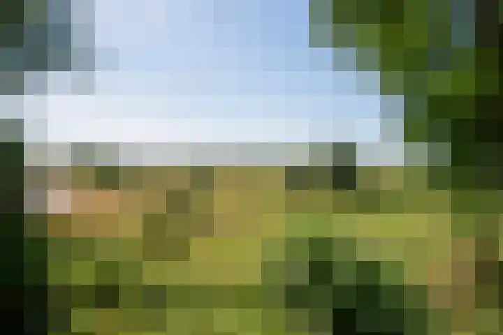 Klingelbeekseweg 26 A Oosterbeek thumbnail 46
