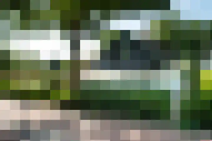 Klingelbeekseweg 26 A Oosterbeek thumbnail 57