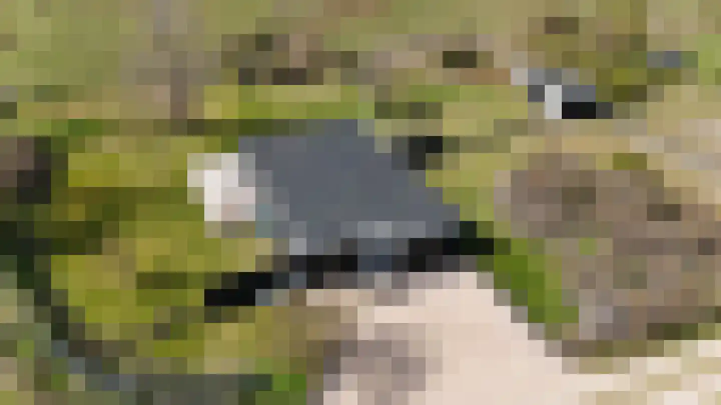 Klingendaal 21 Ouddorp thumbnail 17