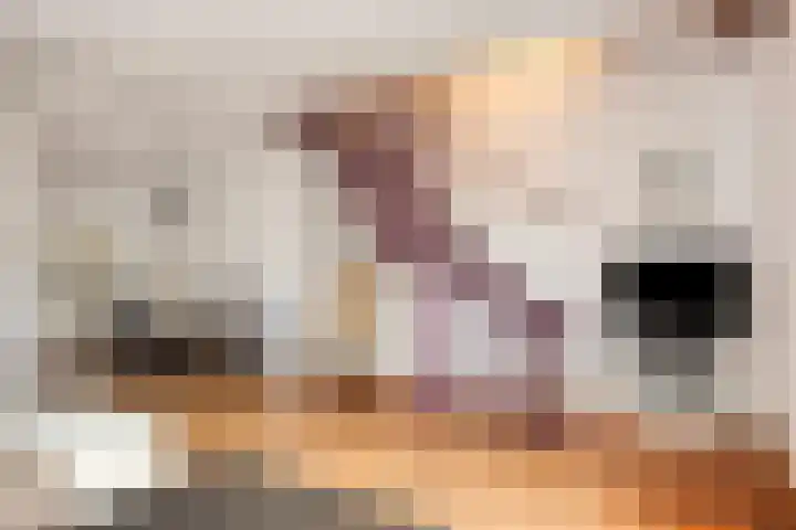 Klingendaal 3 Pijnacker thumbnail 15