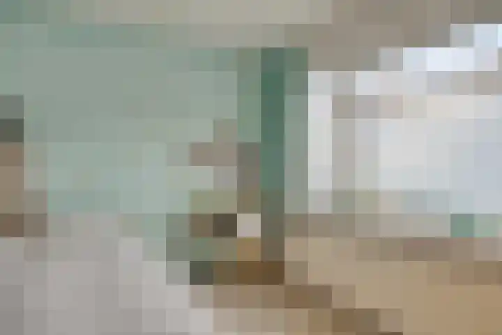 Klingendaal 3 Pijnacker thumbnail 25