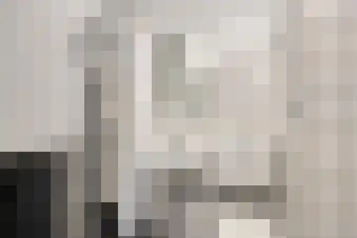 Klingendaal 3 Pijnacker thumbnail 33