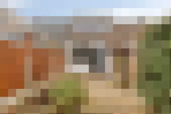Klingendaal 3 Pijnacker thumbnail 46