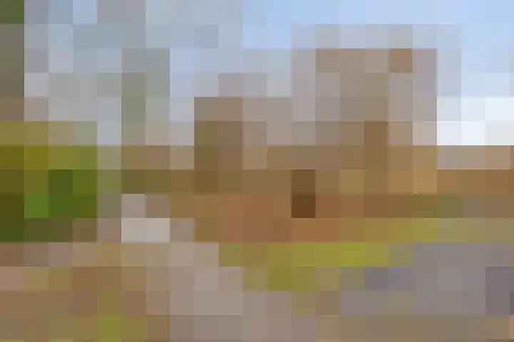 Klingendaal 3 Pijnacker thumbnail 52