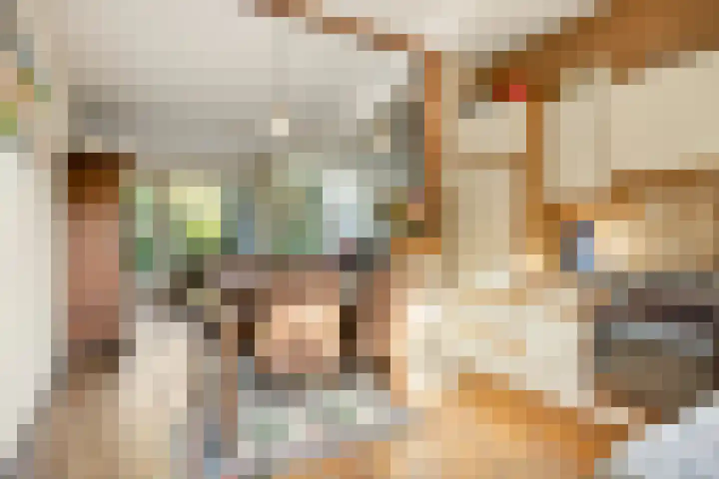Klingmakersdonk 14 Apeldoorn thumbnail 15
