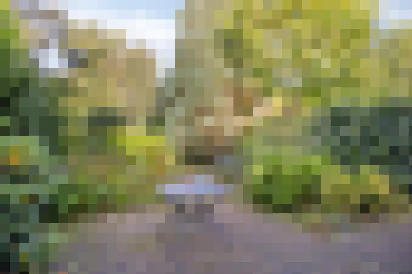 Klingmakersdonk 14 Apeldoorn thumbnail 29