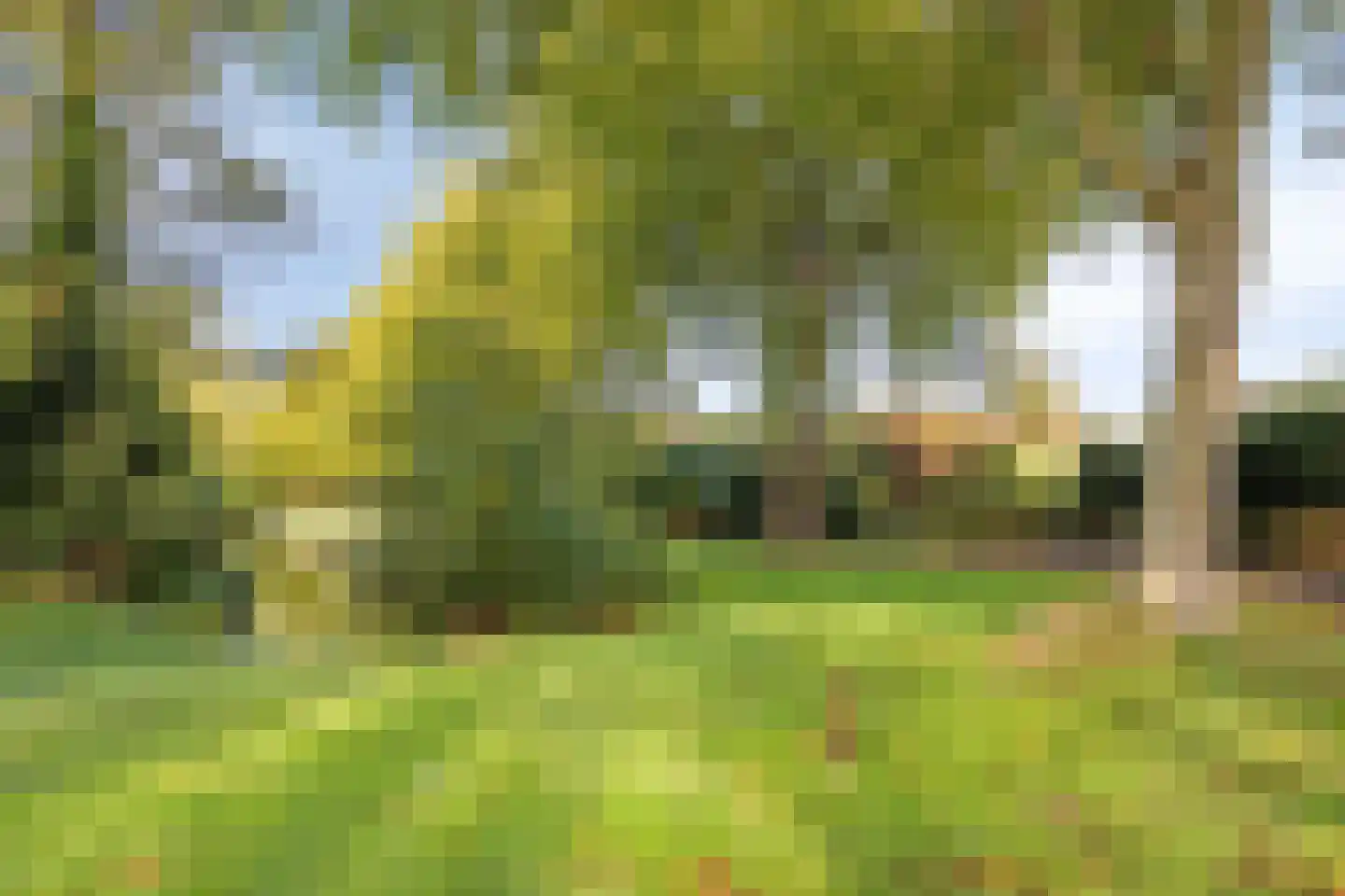 Klingmakersdonk 14 Apeldoorn thumbnail 43