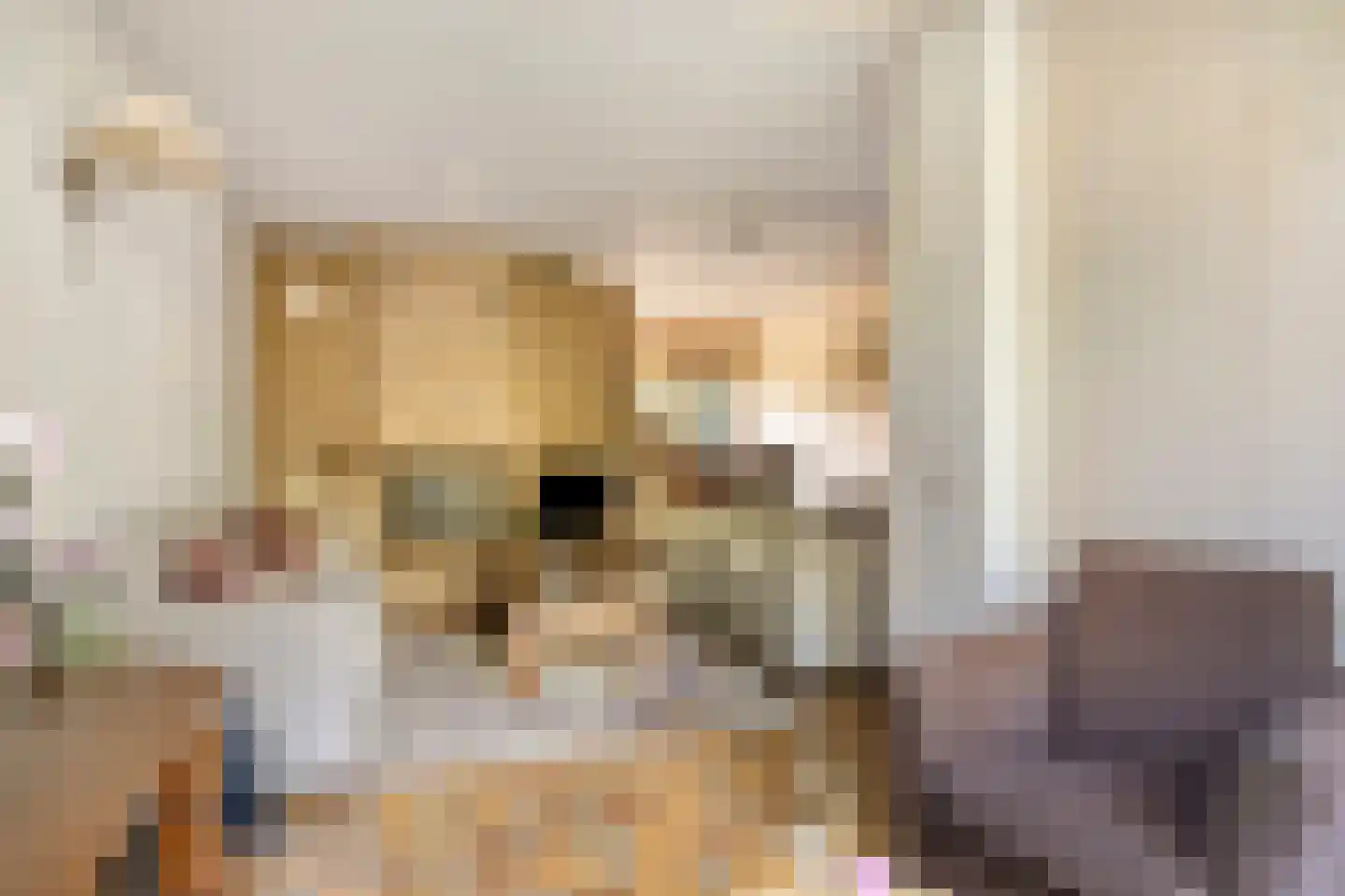 Klingmakersdonk 14 Apeldoorn thumbnail 5