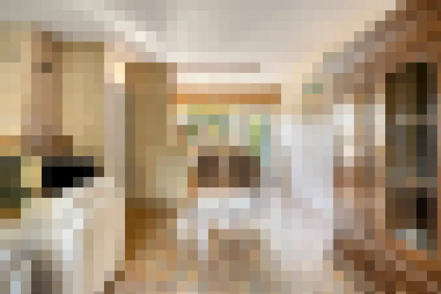 Klingmakersdonk 14 Apeldoorn thumbnail 6