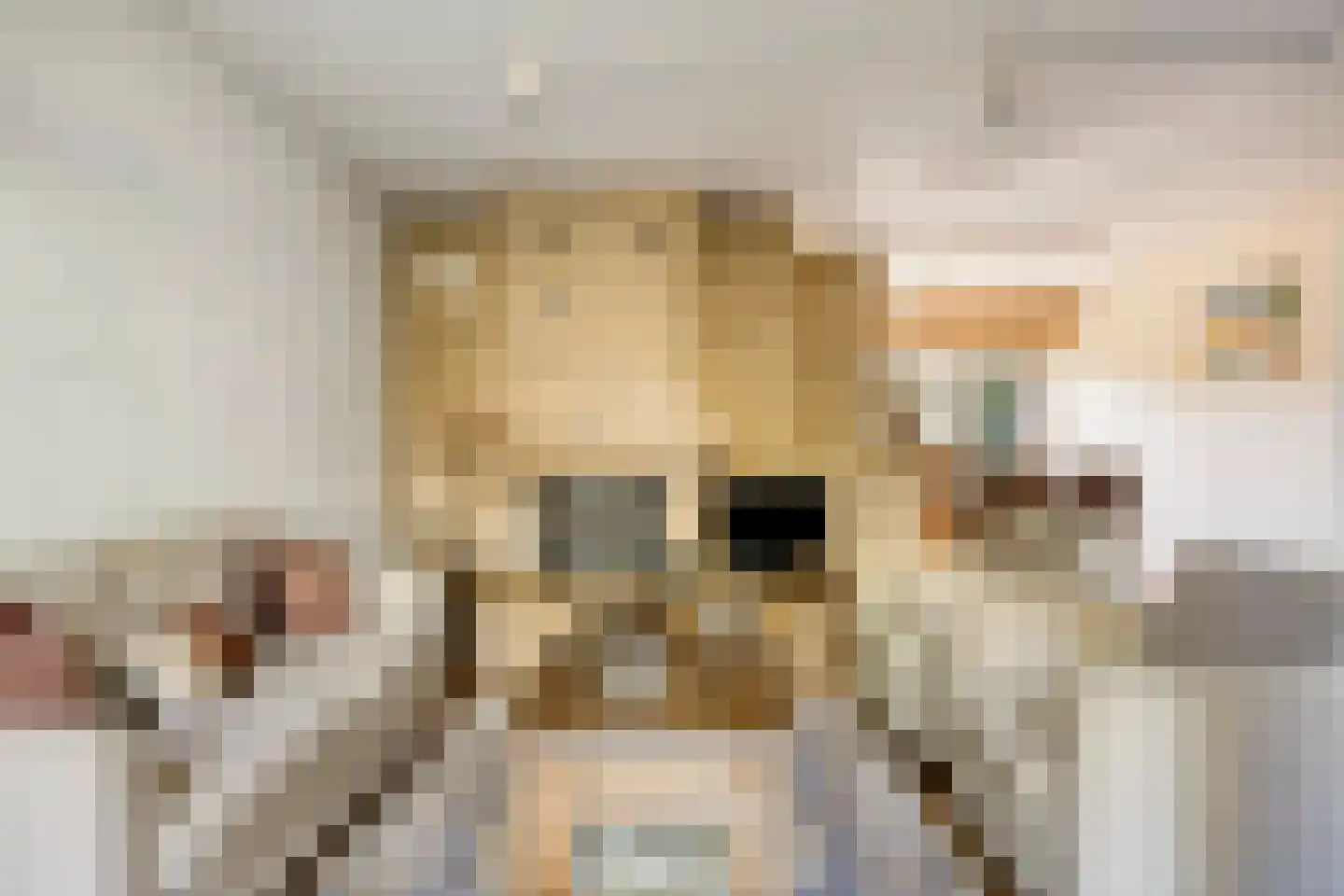 Klingmakersdonk 14 Apeldoorn thumbnail 7
