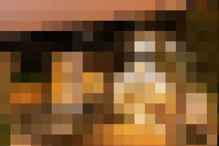 Klingmakersdonk 4 in Apeldoorn