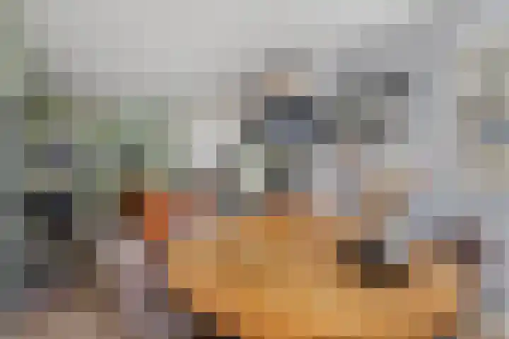 Klingmakersdonk 4 Apeldoorn thumbnail 11