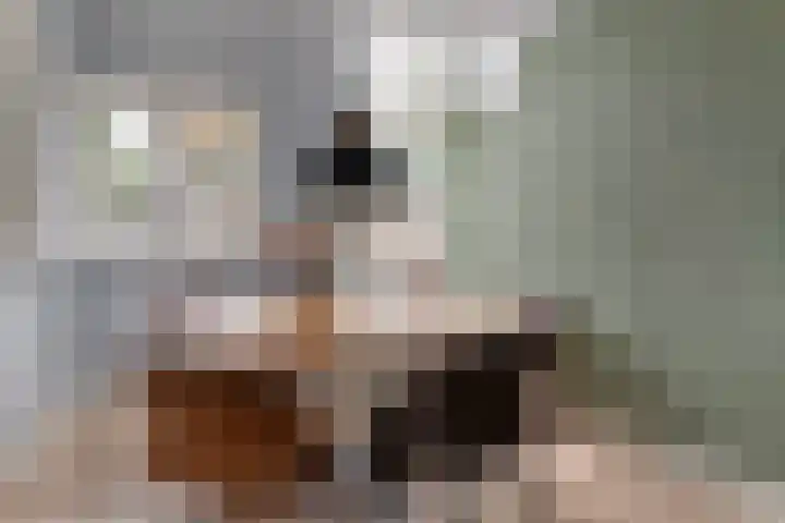 Klingmakersdonk 4 Apeldoorn thumbnail 12