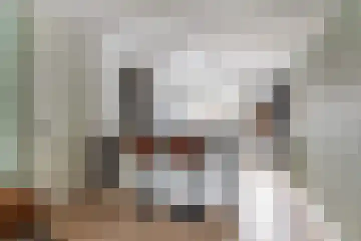 Klingmakersdonk 4 Apeldoorn thumbnail 13