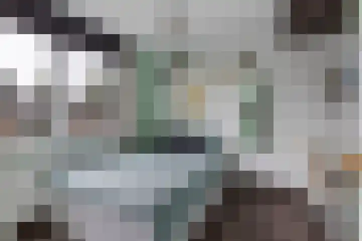 Klingmakersdonk 4 Apeldoorn thumbnail 21