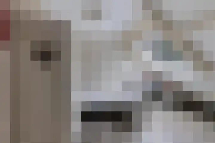 Klingmakersdonk 4 Apeldoorn thumbnail 28