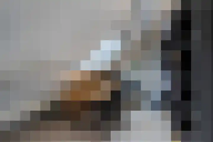 Klingmakersdonk 4 Apeldoorn thumbnail 29