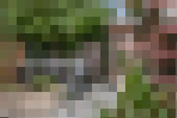 Klingmakersdonk 4 Apeldoorn thumbnail 30