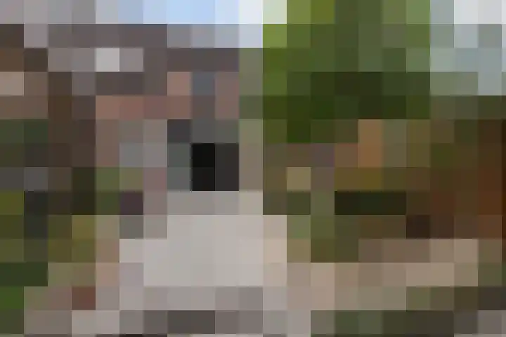 Klingmakersdonk 4 Apeldoorn thumbnail 34