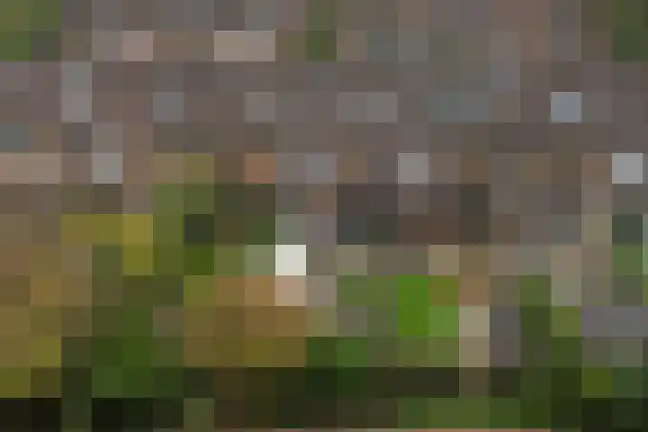 Klingmakersdonk 4 Apeldoorn thumbnail 41