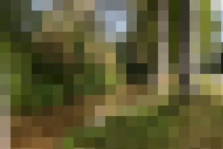 Klingmakersdonk 4 Apeldoorn thumbnail 42