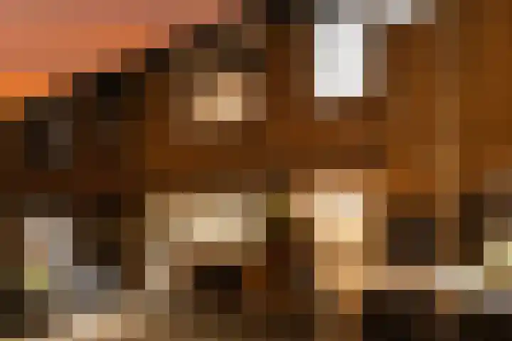 Klingmakersdonk 4 Apeldoorn thumbnail 44