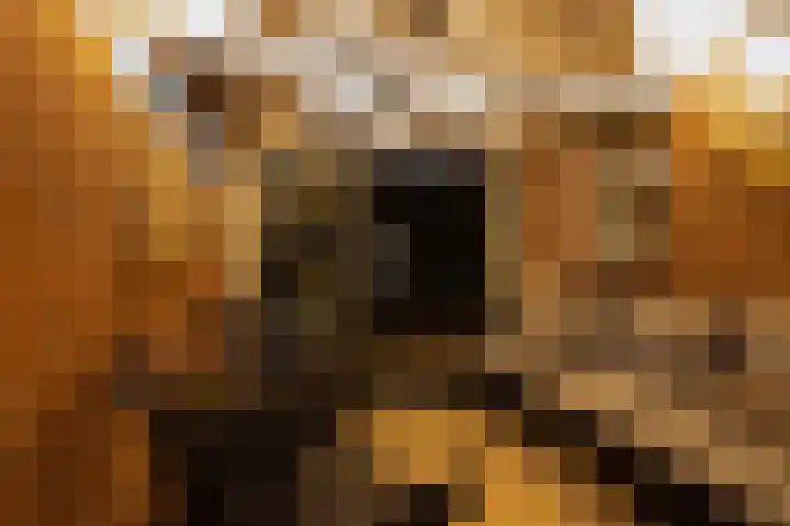 Klingmakersdonk 4 Apeldoorn thumbnail 47
