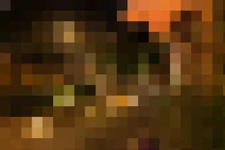 Klingmakersdonk 4 Apeldoorn thumbnail 50