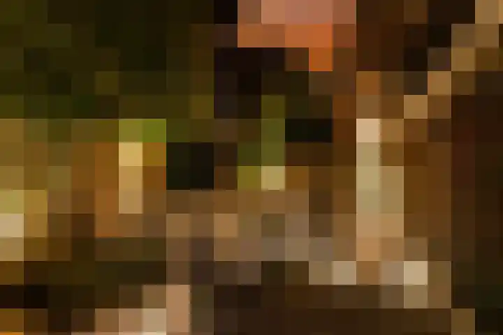 Klingmakersdonk 4 Apeldoorn thumbnail 51