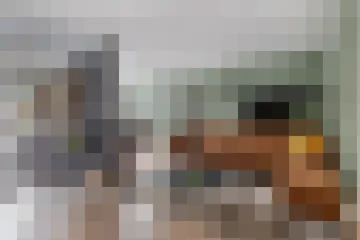 Klingmakersdonk 4 Apeldoorn thumbnail 8
