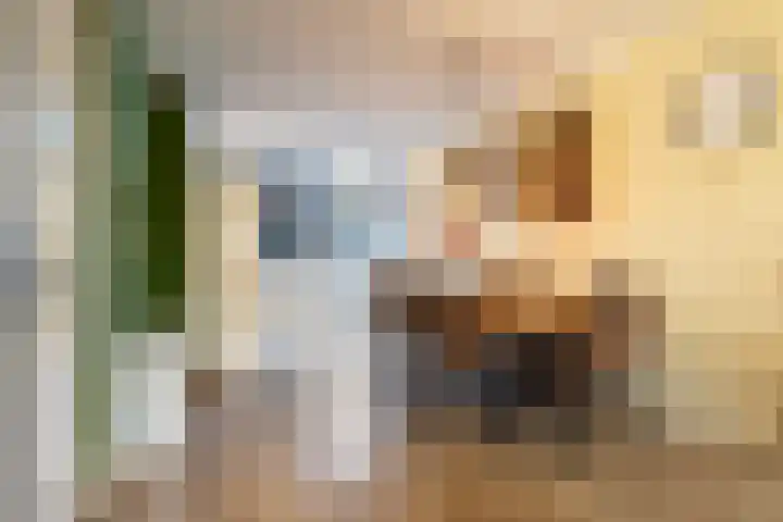 Klingmakersdonk 604 Apeldoorn thumbnail 10