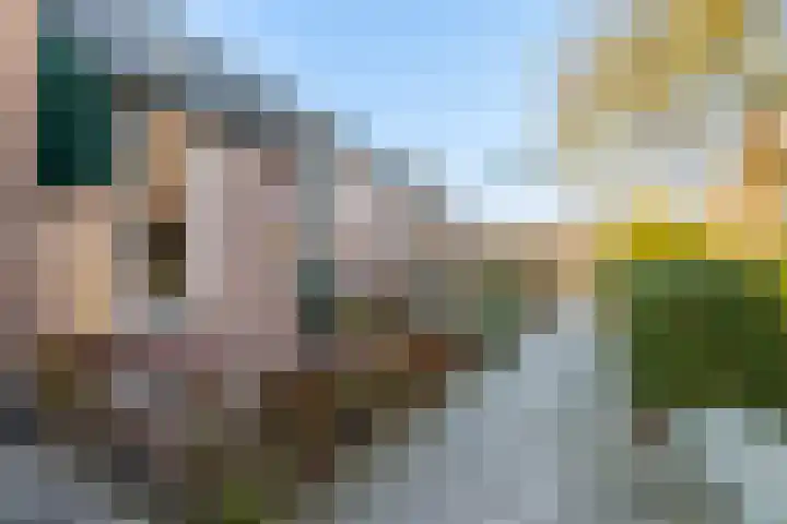 Klingmakersdonk 604 Apeldoorn thumbnail 30