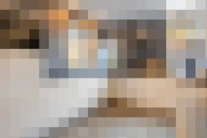 Klingmakersdonk 604 Apeldoorn thumbnail 4