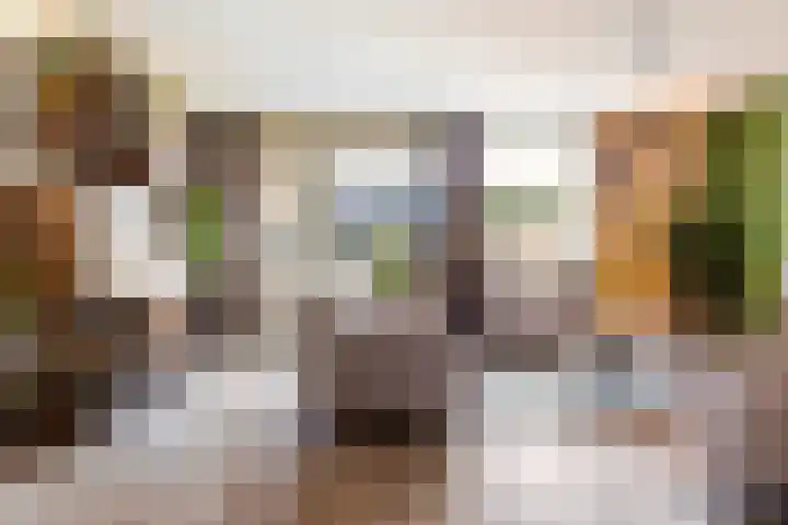 Klingmakersdonk 604 Apeldoorn thumbnail 7
