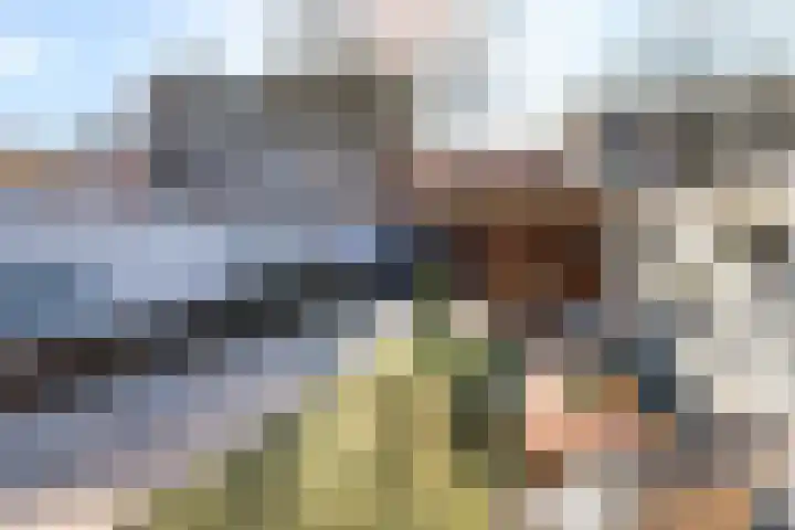 Klingmakersdonk 605 Apeldoorn thumbnail 15