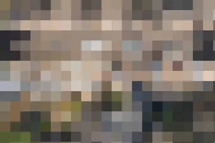 Klingmakersdonk 605 Apeldoorn thumbnail 32