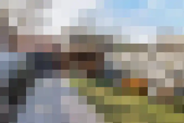 Klingmakersdonk 605 Apeldoorn thumbnail 4