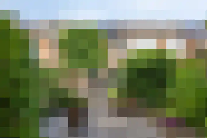 Klingmakersdonk 607 Apeldoorn thumbnail 12