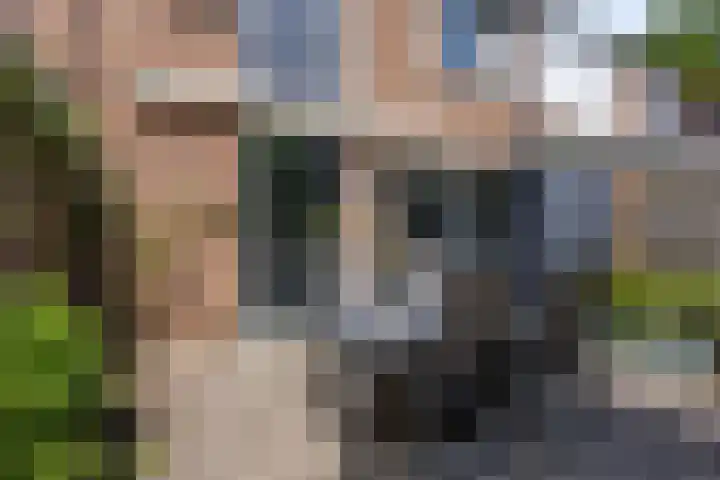 Klingmakersdonk 607 Apeldoorn thumbnail 13